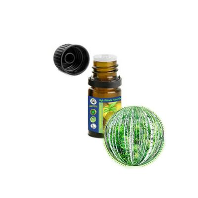 5ml (1/6oz) Birch Bud Essential Oil (Betula Pendula, Silver, European)
