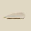 AHAVA Even Tone & Radiance CC Cream, Color & Skin Protection, Broad Spectrum, SPF 30 - Lightweight Sheer Color Correcting Cream to even out skin tone, enriched with exclusive Osmoter, 1 Fl.Oz view 3
