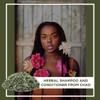 Roselle Naturals Ambunu from Chad, Africa. 150 grams, Detangler Shampoo and conditioner view 4
