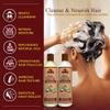 Okay Shampoo & Conditioner Black Jamaican Castor Oil Hair Care Set Moisture & Growth Helps Strengthen & Regrow Hair Sulfate, Silicone, Paraben Free for All Hair Types, 12 ounces view 2