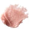 Physician's Formula Organic Wear Lip Polish with Exfoliating Lip Scrub and Skin-Nourishing Organic Ingredients - Lip Treatment for Dry Cats, Hypoallergenic Formula view 3