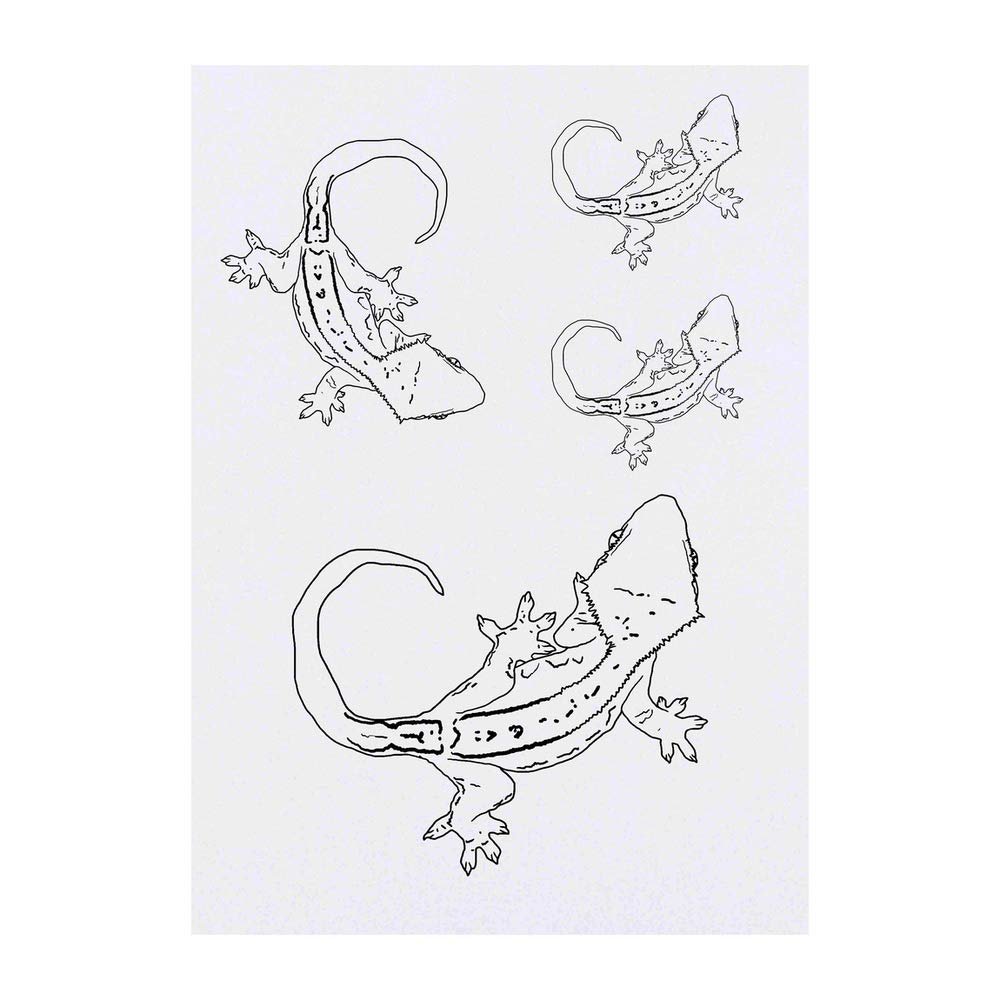 Azeeda 4 x 'Crested Gecko' Temporary Tattoos - Water Resistant, Skin-Safe, Non-Toxic Transfers, Mixed Sizes (TO00036823)