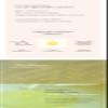 AIDA PROPOLIS CALMING AMPOULE GEL CLEANSER view 4
