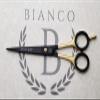 BI-940 Bianco Instruments Size 7" Black Gold Professional Hairdressing Shears | Made in USA | Japanese Stainless Steel | Premium Case Cove Included view 1