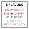 Carmex Daily Care Minis Moisturizing Lip Balm Tubes with SPF 15, Strawberry, Cool Mint, Wild Berry, Peach Mango and Fresh Cherry Lip Balm Pack - 0.18 OZ Each, 5 Count view 2