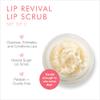 Beauty For Real Lip Revival, Set of 2 - Includes Orange Spice & Spearmint - Exfoliating & Hydrating Sugar Lip Scrub - For Dry, Chapped or Lipstick-Stained Lips - With Essential Oils - Organic, Vegan view 2