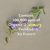 RATED GREEN Rosemary Balancing Scalp Pack | Organic Cold Brewed Charcoal | 2-in-1 Detoxifying Hair Mask for Flaky, Oly Scalp & Hair | Silicone-Free, Korean Hair Care | 6.76 Fl. Oz view 2