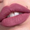 Catrice Plumping Lip Liner 060 view 4