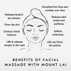 Mount Lai Rose Quartz Gua Sha Facial Tools, Pink Quartz Gua Sha Facial Tools Set and Roller, Guasha Tool for Face to Relieve Muscle Tension and Reduce Puffiness, Anti Aging Skin Care Sets for Women view 3