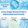 8 THE THALASSO Natural Hair Oil for Normal to Oily Hair Women & Men, Hair Care for Scalp with Stem Cells & Deep Ocean Water, Hair Detangler from Japan, Sulfate & Paraben Free, SMOOTH, 3.38 Fl Oz view 4