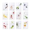 EUNYUL [PACK OF 12] Daily Care Facial Sheet Mask Pack 12 types Korean Skincare Hydrating & Nourishing & Natural Ingredients for All Skin Types view 1