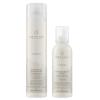 Awapuhi Wild Ginger by Paul Mitchell Style Set view 1