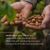 A LA MAISON Moisturizing Lotion, Sweet Almond - Uses: Hand and Body, Argan Oil, Pure Shea Butter, Essential Oils, Plant Based, Cruelty-Free, SLS and Paraben Free (8 Oz, 2 Pack) view 4