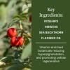 Elina Organics Super Antioxidant Night Cream, 2oz  Hydrating Night Moisturizer with Rosehips, Sea Buckthorn & Hyaluronic Acid  Vegan, Organic view 4