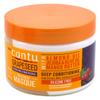 Cantu Grapeseed Treatment Masque 12 Ounce Jar (Pack of 3) view 1