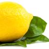 Earth To Skin Super Foods Lemon + Basil Hand & Body Creme Gel (8.0 Fl Oz) view 3
