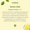 Method Foaming Hand Soap, Lemon Mint, 10 fl oz (Pack of 3) view 3