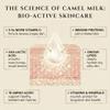 CAMMELLATTE Camel Milk Body Butter | Firming Moisturizer | for Crepey, Dry Skin, Wrinkles & Uneven Texture | Natural Bioactive Anti-Aging Renewal Cream 3.4 oz view 3