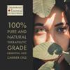 Greenwood Essential Cinnamon Essential Oil (Cinnamomum zeylanicum) with Glass Dropper | Pure | Non-Sticky | Non-Greasy | Lightweight | Men & Women | All Skin Types | Steam Distilled 15ml (0.50 oz) view 3
