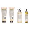 Carol's Daughter Goddess Strong Bundle: Hair Care Kit with Shampoo, Conditioner, Leave-In Treatment and Scalp Oil, 4 Items view 3