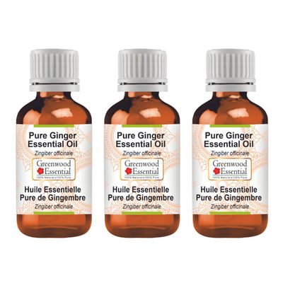 Greenwood Essential Pure Ginger Essential Oil (Zingiber officinale) Steam Distilled (Pack of Three) 100ml X 3 (10.1oz)