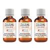 Greenwood Essential Pure Ginger Essential Oil (Zingiber officinale) Steam Distilled (Pack of Three) 100ml X 3 (10.1oz) view 1