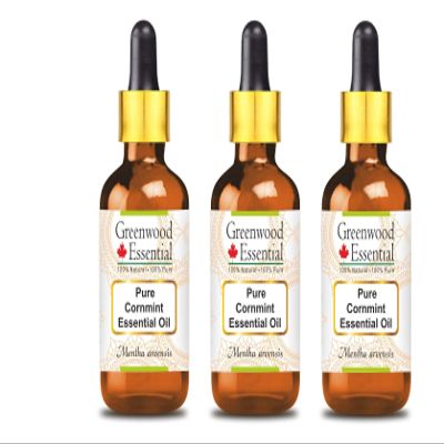 Greenwood Essential Pure Cornmint Essential Oil (Mentha arvensis) with Glass Dropper 100ml X 3 (10 oz)