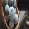 Sandalwood and Lemongrass view 3