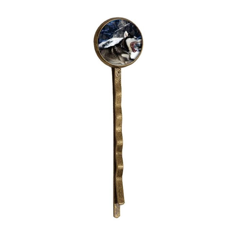 Big Mouth Dog Snow Husky Picture Retro Metal Hair Bobby Pin Headwear