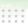 12pcs star bobby pins ladies hair star barrettes rhinestone bride hair pins u shape pins women bridal clip wedding pin pin rhinestones woman view 2