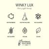Winky Lux Latte Kitten Eyeshadow Palette  9 High Pigment Matte, Satin & Shimmer Shades, Crease Proof, Longwear Formula Vegan Formula view 4