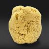 Real Sea Sponge for Men - Extra Large 6"-7", Totally Natural, Kind on Skin for an Invigorating Shower, Supplied in Breathable Mesh Bag. Great for The Gym, Grooming, Bath & Body Gift by Constantia Man view 2