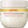 Burt's Bees Truly Glowing Night Cream Unisex 1.8 oz, White (I0115908) view 1