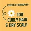 FAITH IN NATURE Natural Hair Mask - Vegan & Cruelty Free, No SLS or Parabens - 10.14 fl oz, Shea & Argan view 4