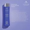 Alterna Haircare Caviar Anti-Aging Restructuring Bond Repair Shampoo and Conditioner, 1.35 Fl Oz (Pack of 2) view 2