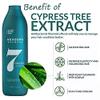 Headspa7 Anti Hair Loss Organic Suntree Shampoo 10.13 fl.oz.(300ml) & Treatment The premium 7.1 fl.oz.(210ml) Set (ALLEVIATEING HAIR LOSS SYMPTOMS FOR WOMEN & MEN, DAMAGED HAIR CARE, VOLUMIZING HAIR) view 2