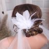 Aimimier 1920s Flapper White Feather Headpiece Crystal Feather Hair Clip Roaring 20s Feather Accessories Masquerade Hair Accessory for Women view 2