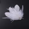 Aimimier 1920s Flapper White Feather Headpiece Crystal Feather Hair Clip Roaring 20s Feather Accessories Masquerade Hair Accessory for Women view 3