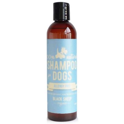 Allergy Free Shampoo