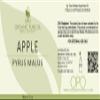 Apple Seed Oil - Pure, Unrefined, Cold Pressed, Non-GMO, Extra Virgin, Non-Comedogenic - 8 oz - for Hair, Skin, Nails, Body, Legs - Hydrating, Moisturizing, Nourishing Carrier Oil view 2