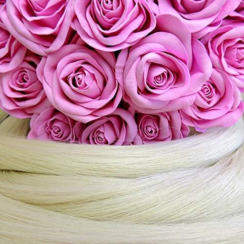 Home Comforts Long Hair Beauty Salon Beauty Hair-20 Inch By 30 Inch Laminated Poster With Bright Colors And Vivid Imagery-Fits Perfectly In Many Attractive Frames
