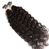RJ HAIR Deep Curly Micro Ring Hair 100% Human Hair Extensions Micro Bead Links Machine Made Brazilian Hair Extensions 100 Strand Brown Natural Color (18inch 100strand, Color 2#) view 2