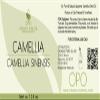 OPO Japanese Camellia Seed Oil - Pure, Cold Pressed, Unrefined, Extra Virgin, 128 OZ/1 GALLON Skin, Body, Hair Care Perfect for Face, Nails view 2