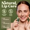 Earth's Daughter USDA Organic Lip Balm Stocking Stuffers 4-Pack Eucalyptus Mint Flavor - Beeswax, Coconut Oil, Vitamin E - Best Lip Repair Chapstick for Dry Cracked Lips. view 2