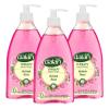 Dalan Therapy British Rose Ultra Moisturizing Liquid Hand Soap for Normal and Dry Hands Fresh Clean and Soft Feeling (13.5 Fl Oz / 400 mL (Pack of 3)) view 1