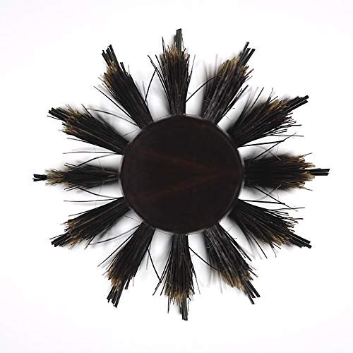 Home Comforts Barber Beauty Shop Comb Hair Close Brush-20 Inch By 30 Inch Laminated Poster With Bright Colors And Vivid Imagery-Fits Perfectly In Many Attractive Frames