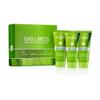Wellness Premium Products Top 3 Sampler & Gift Box - Travel Size, Organic, Hemp Seed Oil Shampoo, Conditioner, & Treatment Mask for Strong, Healthy Hair - 3 x 1.7oz view 1