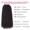 Leeven 2 Packs Short Bob Passion Twist Hair 12 Inch Dark Brown Water Wave Crochet Braids Hair for Distressed Butterfly Locs 4# Color Synthetic Hot Water Setting Passion Twists Hair Extensions view 2
