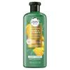 Herbal Essences Bio: Renew Sulfate-Free Honey & Vitamin B Conditioner, 13.5 Fl Oz, 5.523 Fl Oz view 3