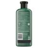 Herbal Essences Bio: Renew Sulfate-Free Honey & Vitamin B Conditioner, 13.5 Fl Oz, 5.523 Fl Oz view 4
